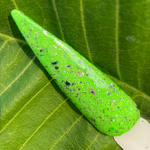 Load image into Gallery viewer, Bellatrix