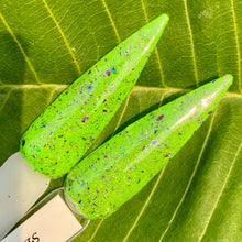 Load image into Gallery viewer, Bellatrix