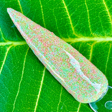 Load image into Gallery viewer, Lime in the Coconut