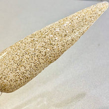 Load image into Gallery viewer, Champagne Toasts