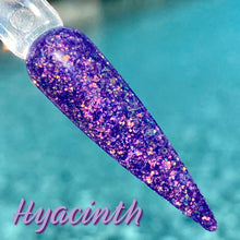 Load image into Gallery viewer, Hyacinth