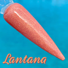 Load image into Gallery viewer, Lantana